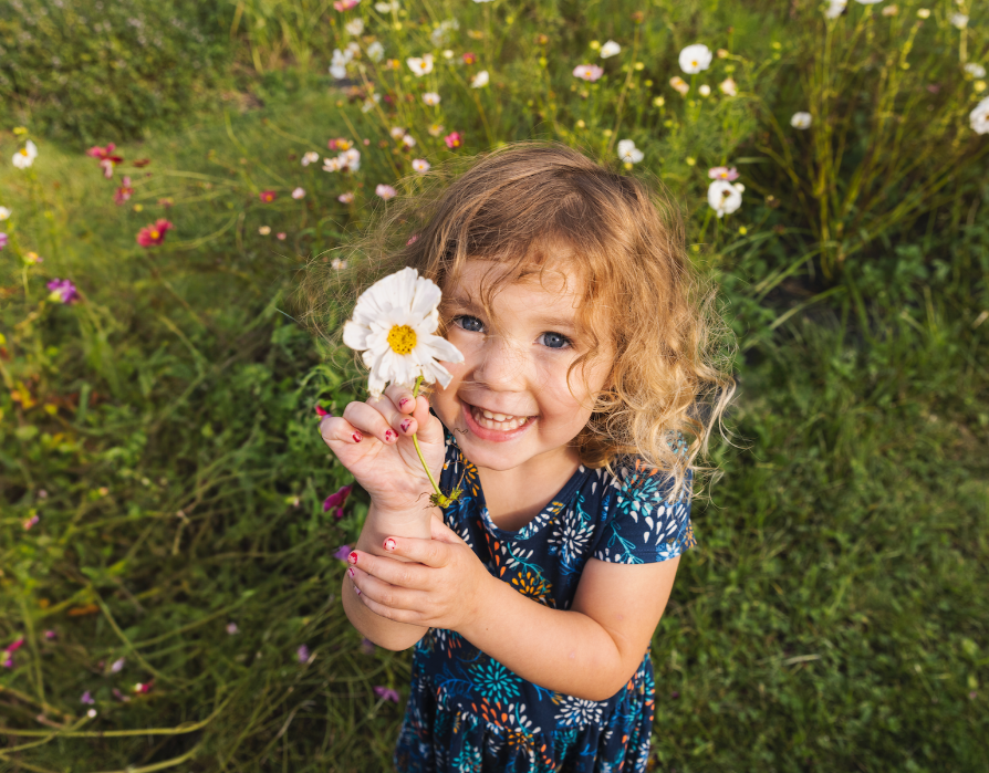 邦楽 Sunflower's Garden - Believe in tomorrow CDJapan : Believe In Tomorrow Sunflower's Garden CD Maxi
